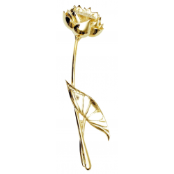 706760zk-Fleur de lotus Or